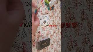 📌КАРТА ДНЯ‼️‼️💯💯💯тароонлайн #гаданиеналюбовь #tarot