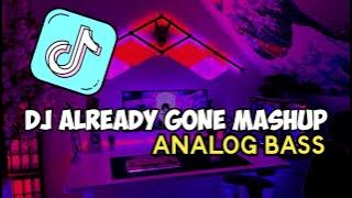 Dj Already Gone Mashup - ANALOG BASS | ENAK VIRAL TIKTOK 2024