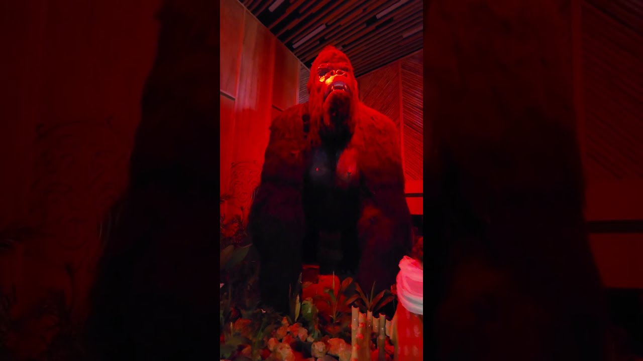 Big Snake and Big Boss at Amazon Mall Islamabad