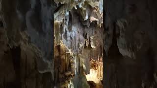 sung sot cave #halongbaycruise #halongbaytour  #halongbayvietnam #halongbaytravel #halongbay