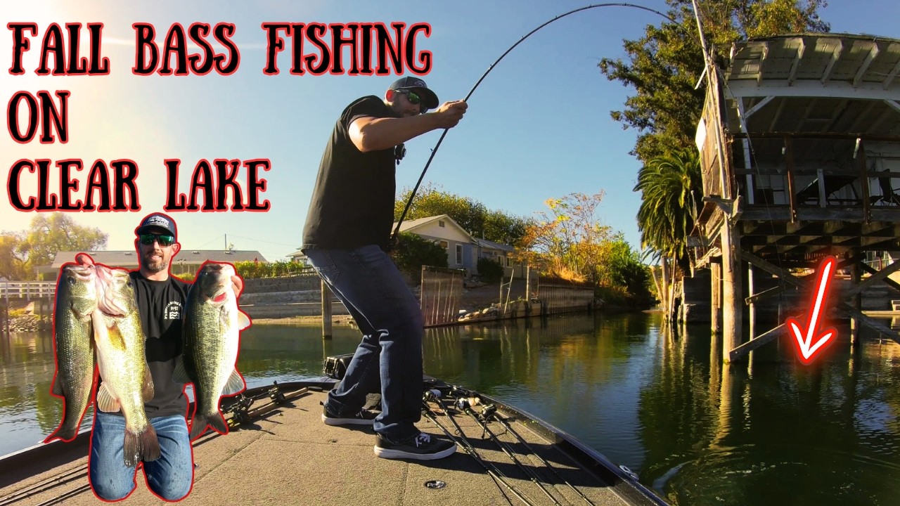 They Are Always Biting Somewhere II The Search for Big Bass on Clear Lake