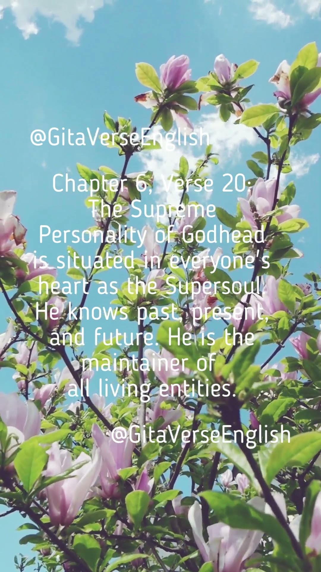 Chapter 6 Verse 20 YouTube Chapter 6 Verse 20 YouTube