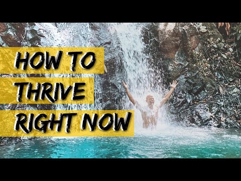 How to boost immunity with...