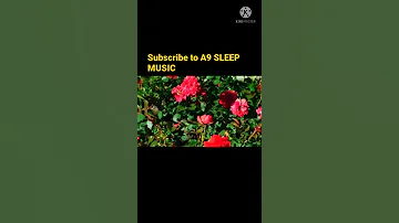 Relaxation Music | Sleep Music | Meditation Music | Yoga Music | Calm music | A9 SLEEP MUSIC