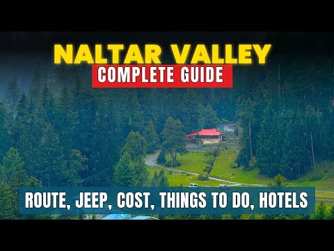 Naltar Valley Guide | Roads - Jeeps - Hotels - Cost - Tips and More