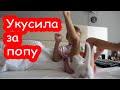 VLOG Мира больше не живет в туалете. Человек за окном