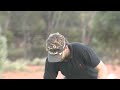 Final round highlights of #WAPGA
