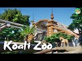 Lions & Gorillas - The Congo House - Koali Zoo Ep. 22 w/@Silvarret @Mike Sheets  @DeLadysigner