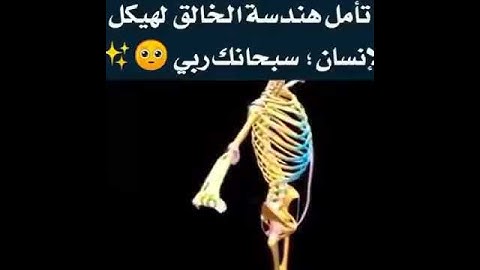 القارئ اسلام صبحي تأمل هندسه الخالق لهيكل الانسان (سبحان الله)