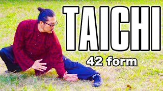 Tai Chi｜42 form Tai Chi ｜Amazing World Champion - YouTube