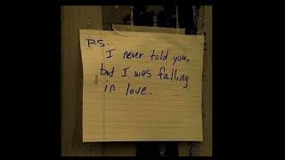 puppy love - paul anka // sped up + reverb