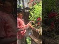 संस्कार जरूर सीखना #ytshorts #shortvideo #dedication #devotional