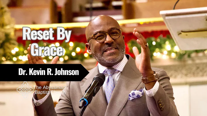 Video 11751331: abyssinian