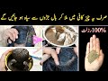 Mixing these things in coffee will make every hair black from roots | Safed Bal Kala Karne Ka Tarika