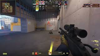 Scout Vertigo