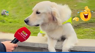 Super Funny Animal Videos 😹🐶 Best Animal Video Compilation You Can’t Miss 🤣