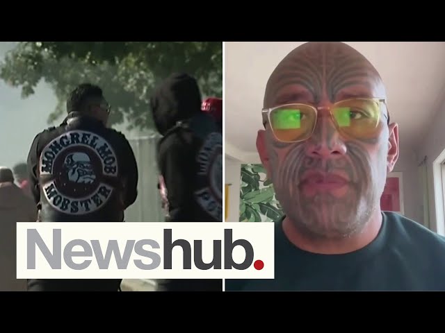 'There will be hell to pay': Te Pāti Māori's stern warning to Govt over gang crackdown | Newshub class=