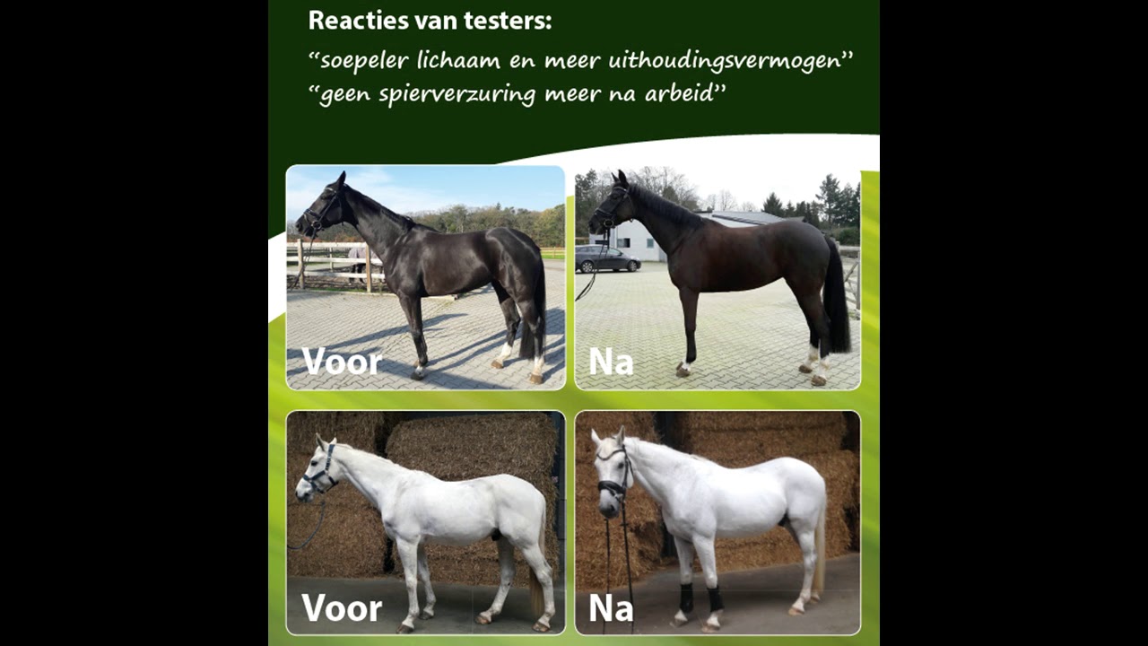 body builder winnaar horses product 2017 categorie supplementen YouTube