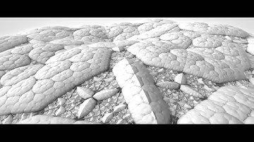 Slow Show - Donbulrae with Surface detail vid from subBlue