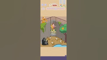 tidy master level 211 like n subscribe must #gamesbywafey #shorts #viralshorts #escape #zoo #animals