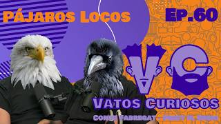 Vatos Curiosos Ep.60 Pájaros Locos