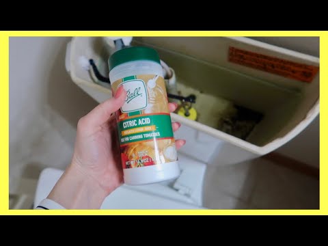 Видео: Оймс хэрхэн угаах вэ