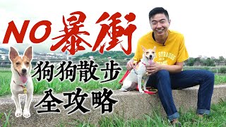 【熊爸估狗】No暴衝！狗狗散步全攻略｜鏡週刊