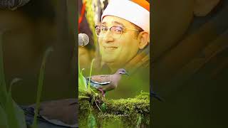 Most Beautiful Tilawat by Qari Mahmood Shahat Anwar