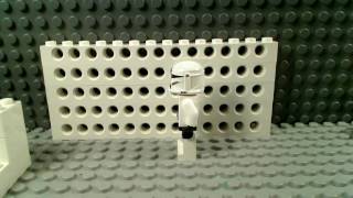 15 FPS Walking Test