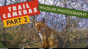 Setting up Trail Cameras Part 2 - Apeman H60 Review & DSLR Camera Trap Set Up