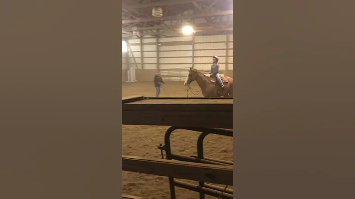 Learning to canter/I fell off