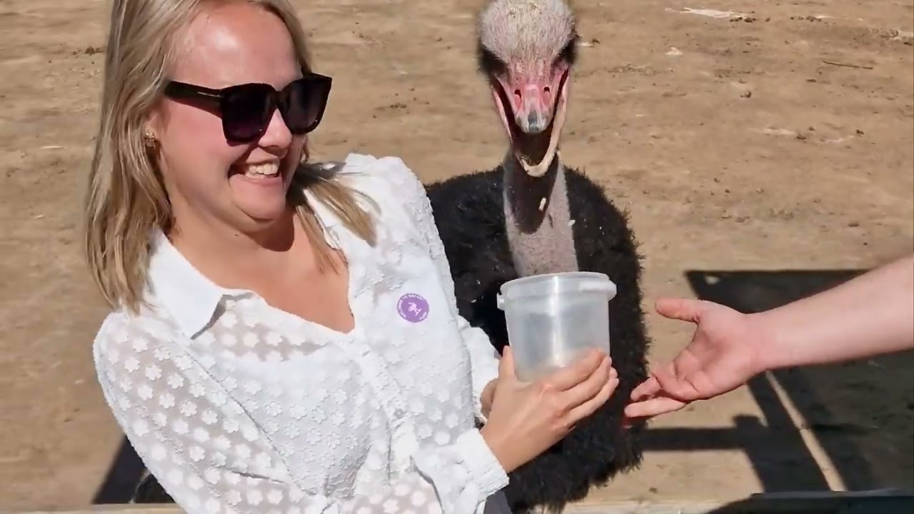 Rondreis Zuid Afrika 2023