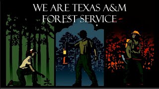 We are Texas A&M Forest Service