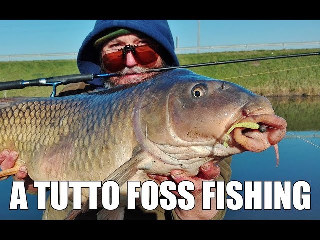 Dodici Mesi Di Pesca Alla Carpa: Azione A Settembre