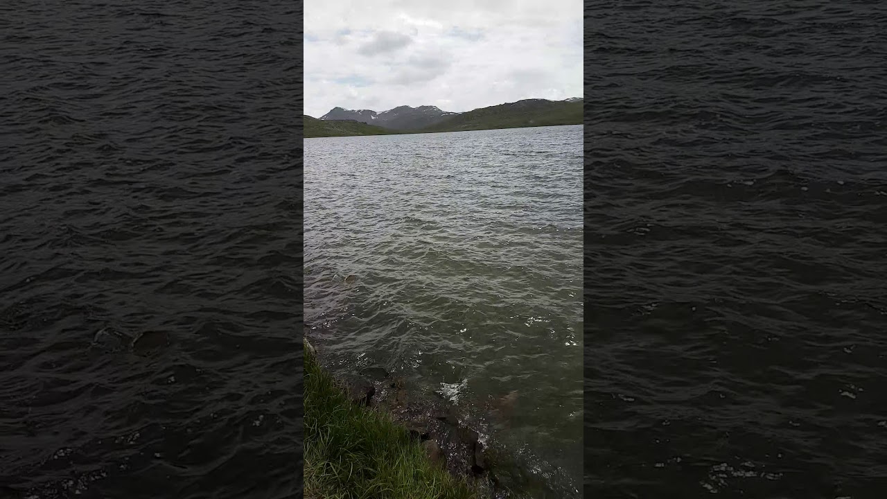 Shausar Lake, Deosai