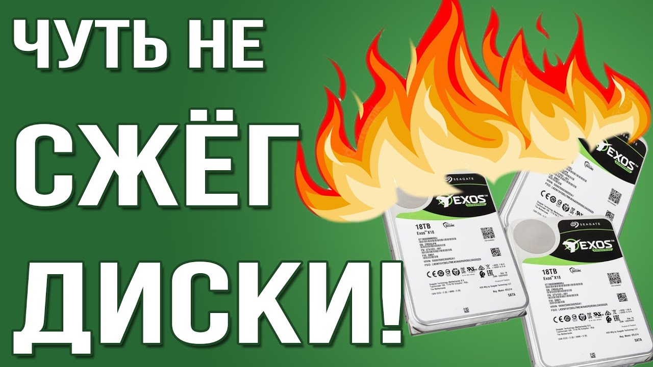 Моя чиа ферма чуть не сгорела