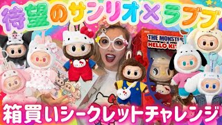 All types unboxed] Sanrio x Lovebu is so cute it's beyond my