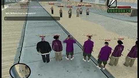 LS-RP.NET ||  Rollin