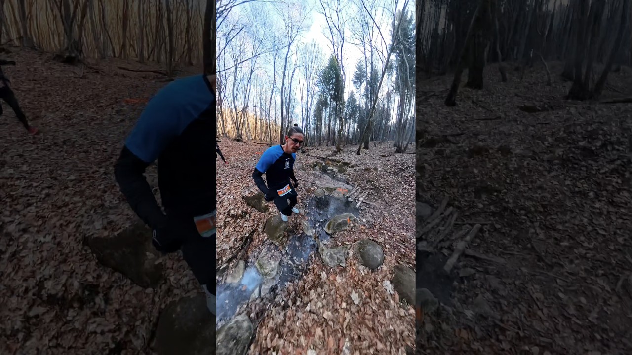 Halcyon Făget Winter Trail 