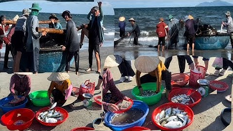 Nghề Kéo Lưới Đánh Bắt Cá Của Ngư Dân Vùng Biển Mân Thái Đà Nẵng | MINH LÊ VLOG 