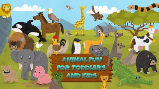 Baby Panda: Care for animals - Kids Animal Cartoon - BabyBus Game Video screenshot 3