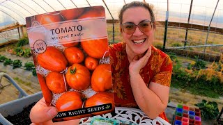 Let's Talk Tomatoes! | Planting Varieties I've NEVER Heard Of