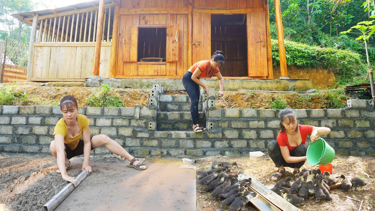 CEO Girl Left the City for the Forest -  Build Front Yard with High Embankment - Raising Geese