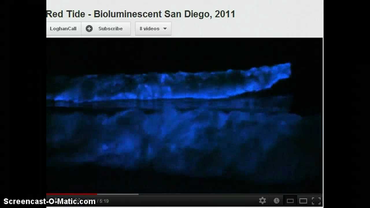 Blue Tide : Planet X increasing Bioluminescence - YouTube