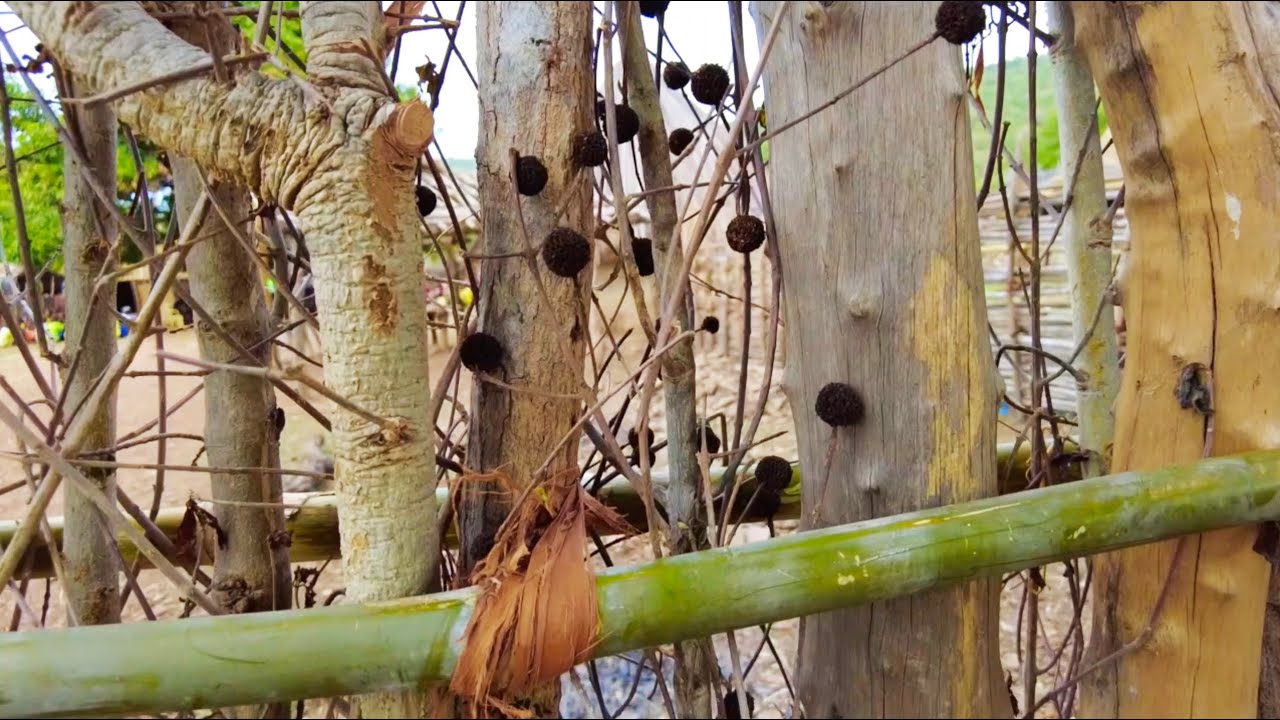 A la découverte des villages de Salemata, région de Kedougou, Sénégal Oriental