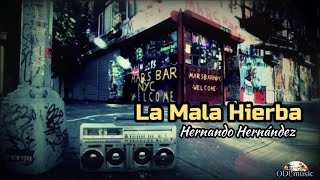 La Mala Hierba - Hernando Hernández (Letra)