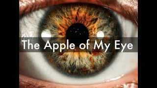 The Apple of My Eye