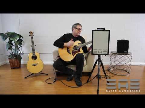 Video 1