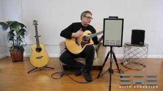Don Alder performs The Wall on Elite Acoustics D6-8 Rechargeable Acoustic AMP