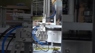 High-Speed Double Head Tin Can Seamer: Simultaneously Seal Two Cans for Maximum Efficiency